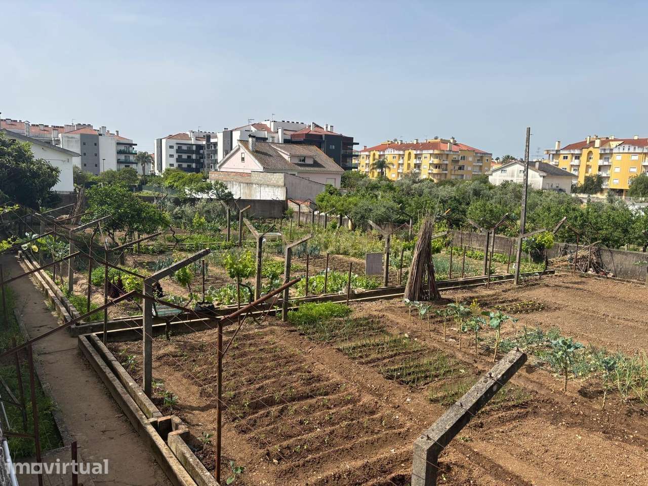 Terreno para Construção em Altura – Entroncamento - Grande imagem: 3/5