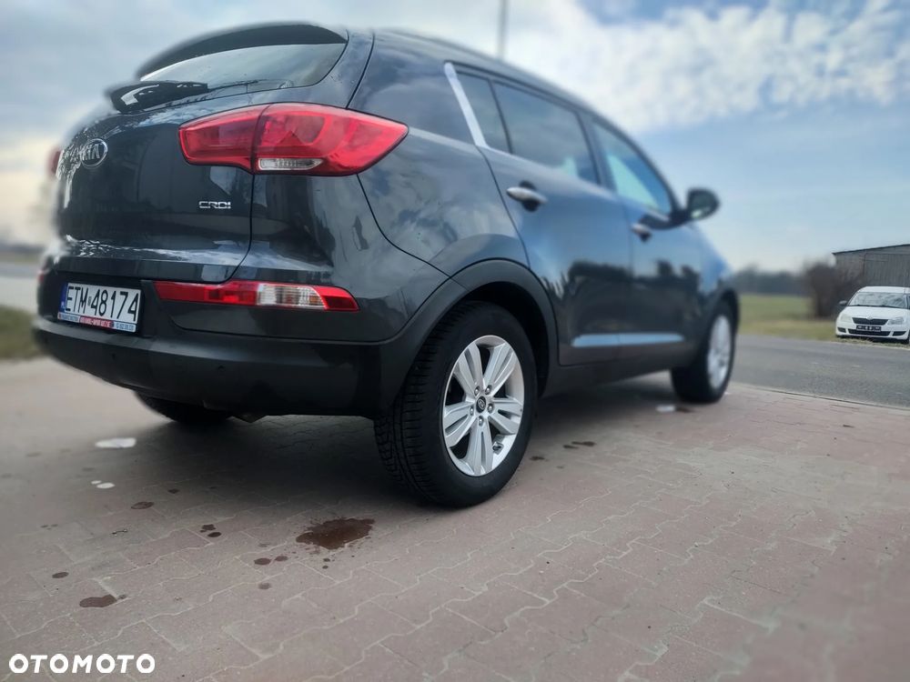 Kia Sportage - 14