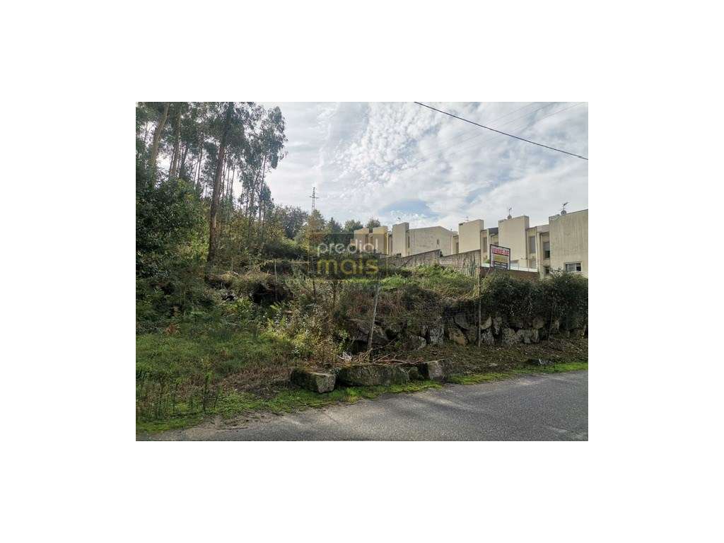 Terreno - Castelões - Grande imagem: 2/6