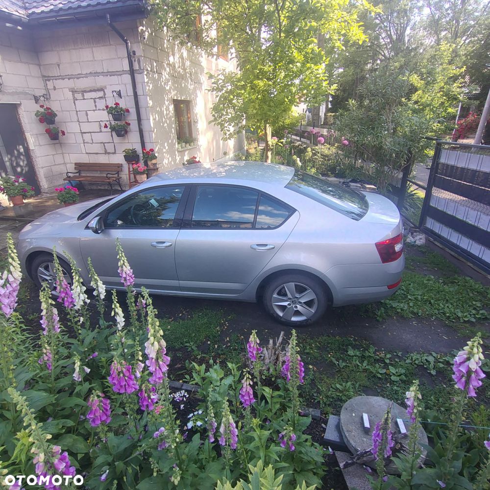Skoda Octavia 1.4 TSI Edition - 7