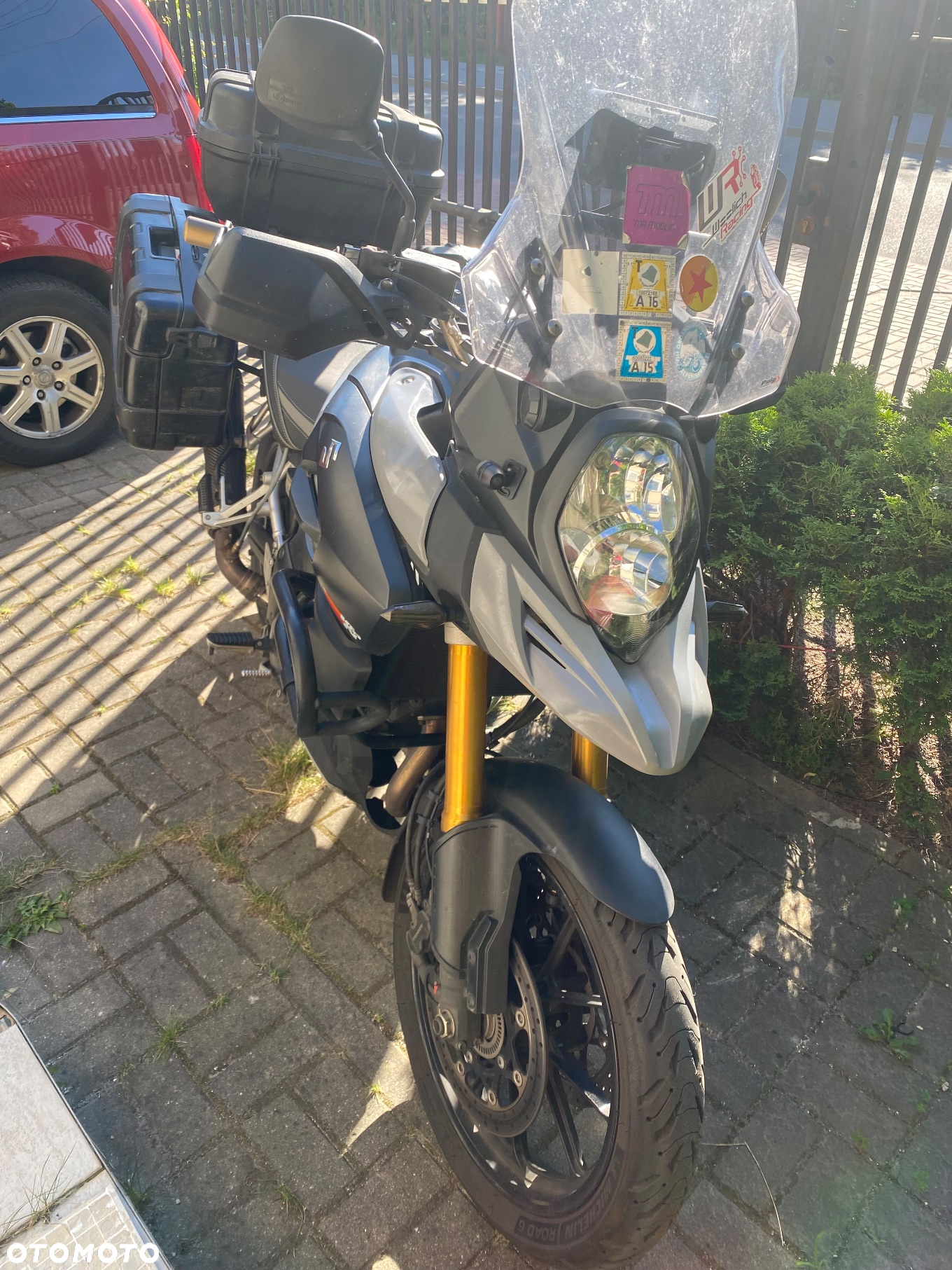 Suzuki DL