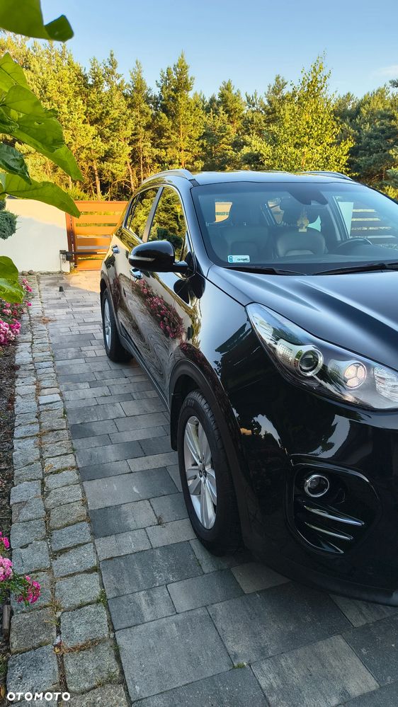Kia Sportage 1.6 T-GDI Business Line 2WD - 1