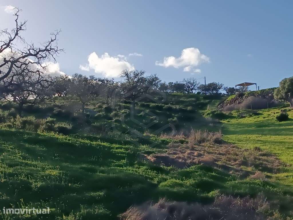 Terreno Rustico com 14360m2 em Azinhal, Castro Marim, Algarve - Grande imagem: 3/10