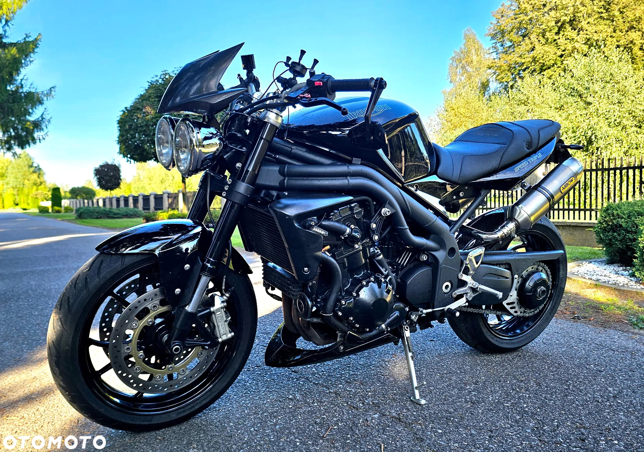 Triumph Speed Triple - 9