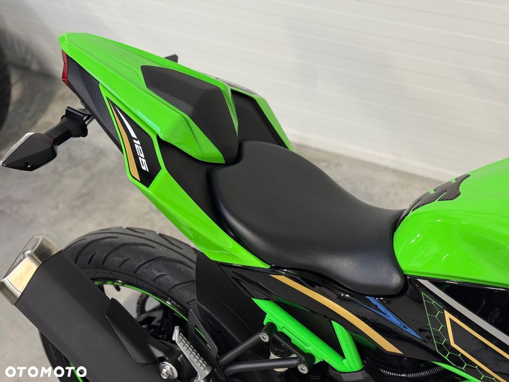 Kawasaki Ninja - 17
