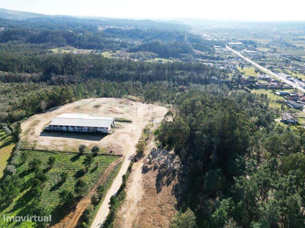 Lote de terreno de 60841m2 para construção de até 36.400m2, , Pomba... - Grande imagem: 5/48