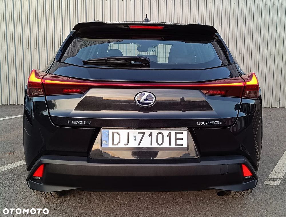 Lexus UX - 7