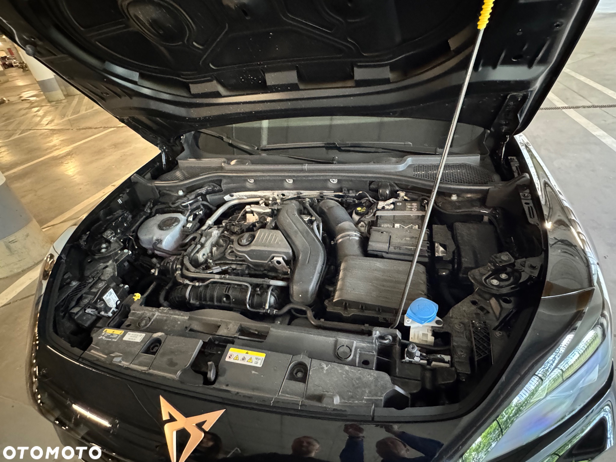 Cupra Formentor 1.5 TSI DSG - 7