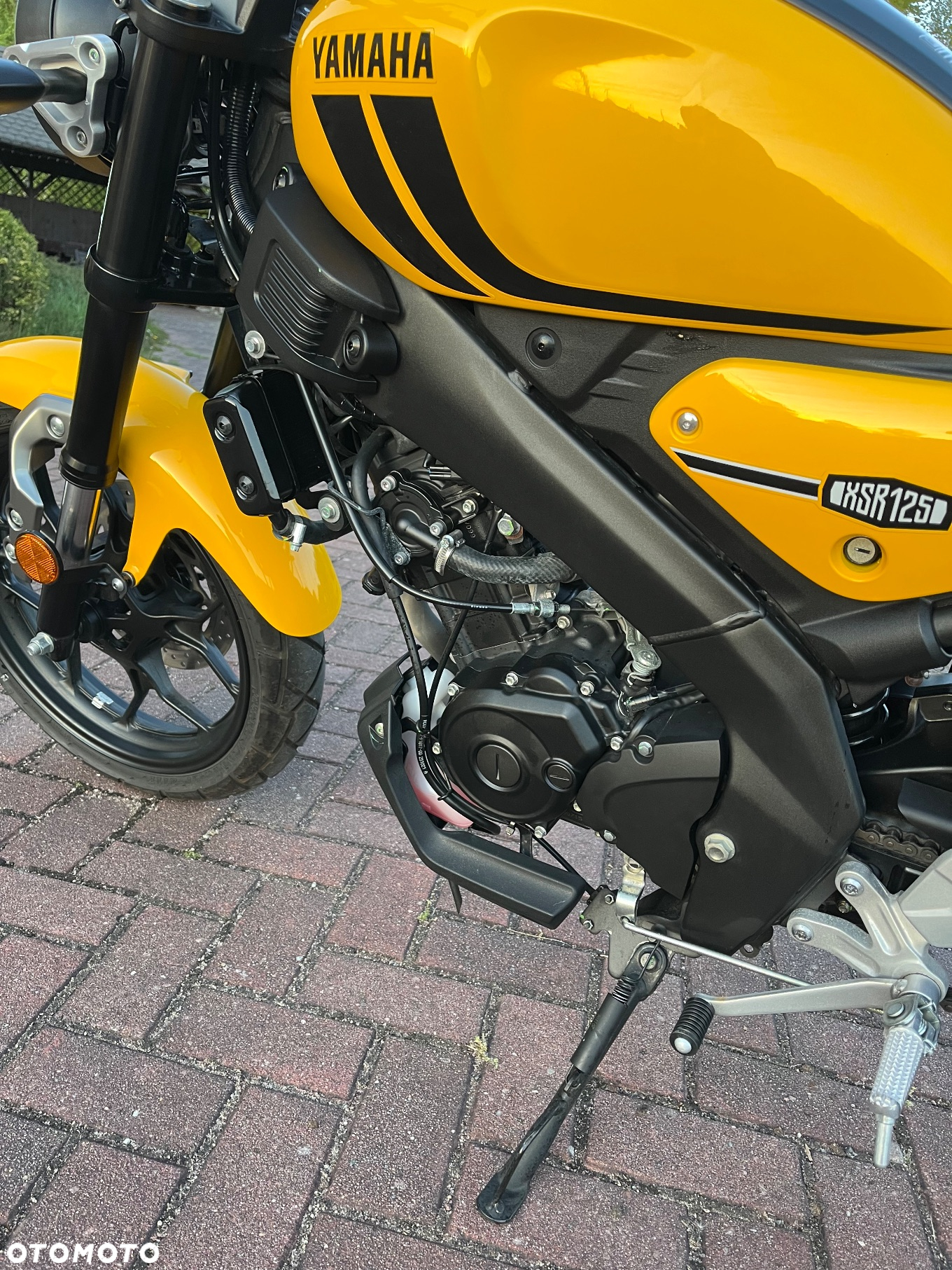 Yamaha XSR - 15
