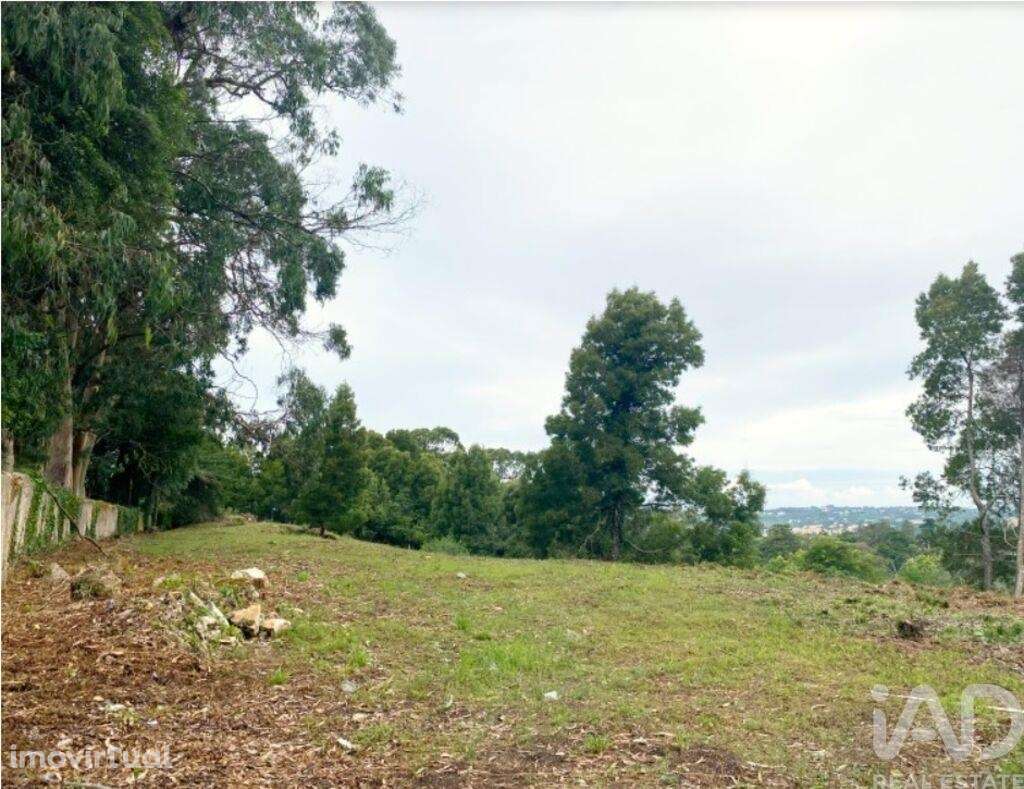 Terreno para construção em Sintra - Grande imagem: 3/12