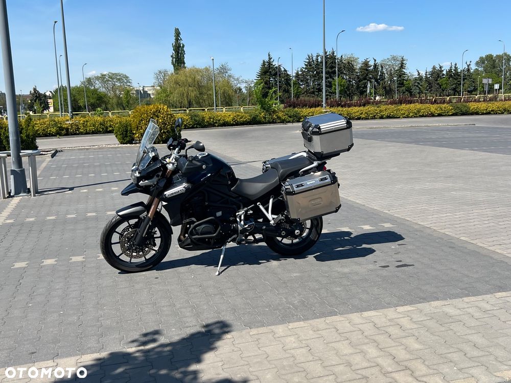 Triumph Tiger - 7