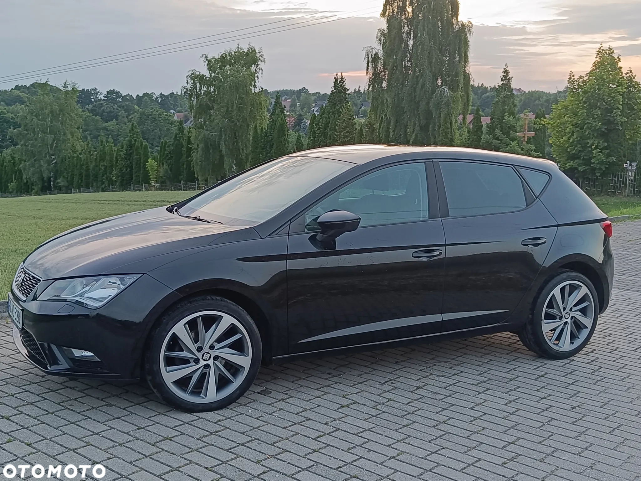 Seat Leon - 36