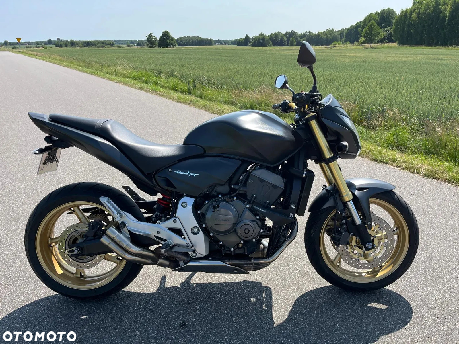 Honda Hornet - 12