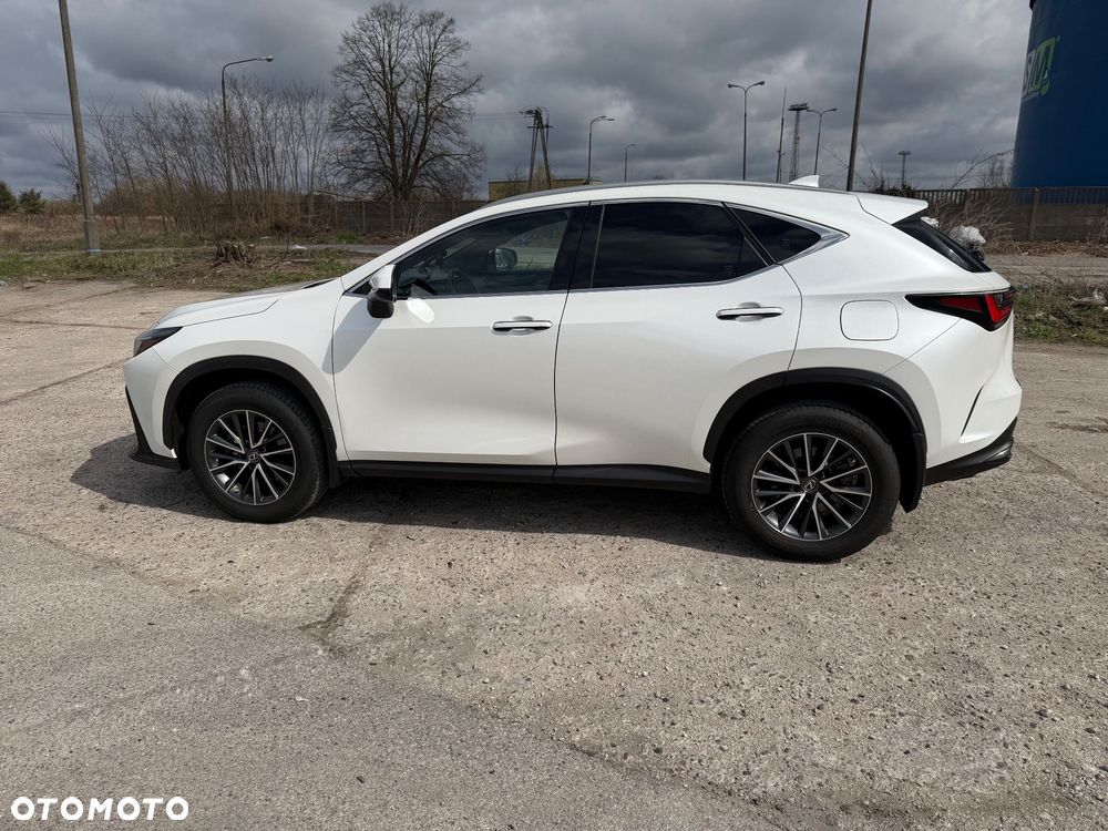 Lexus NX - 10