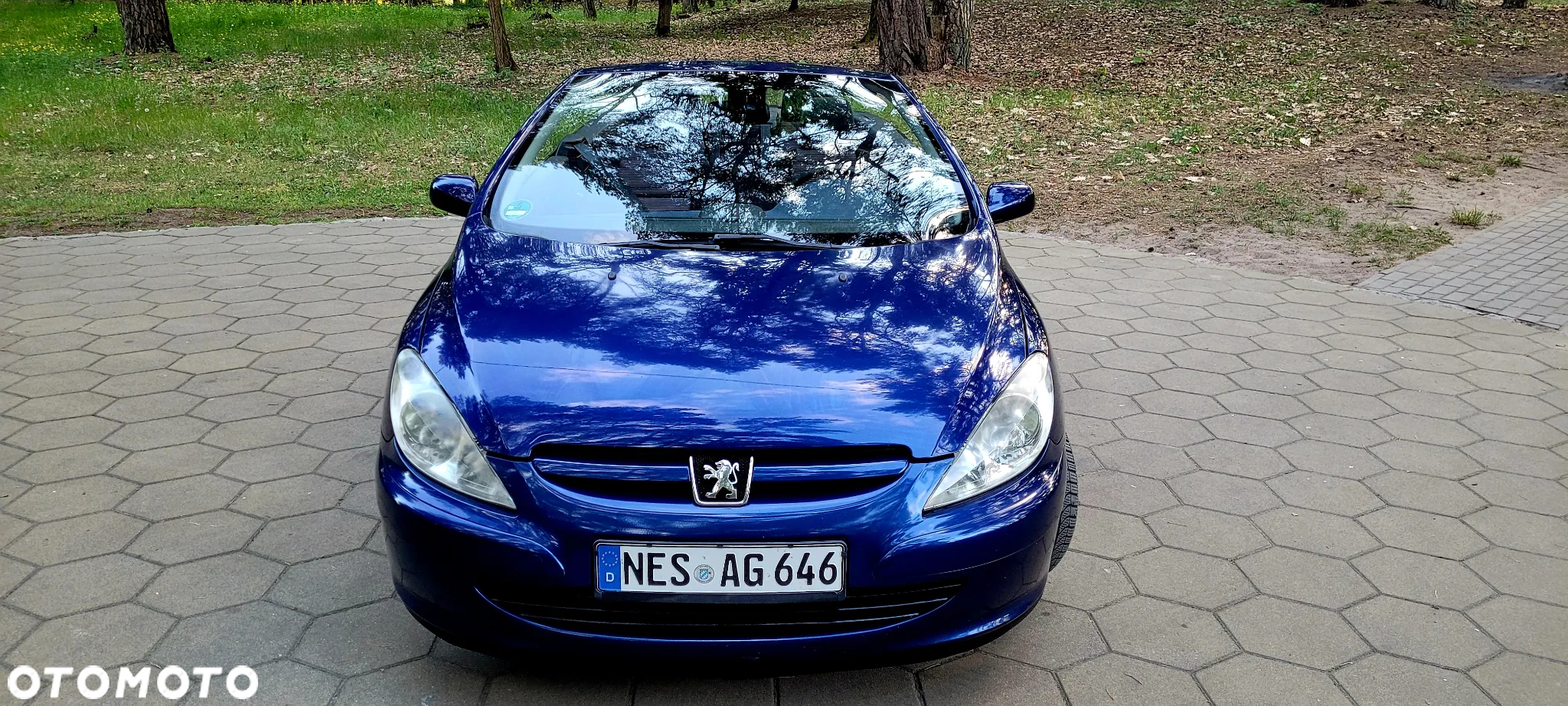 Peugeot 307 135 Sportline - 12