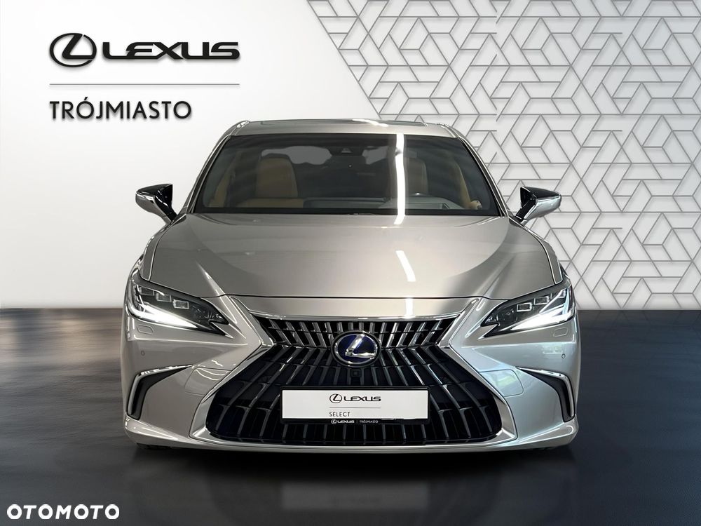 Lexus ES 300h Omotenashi - 9