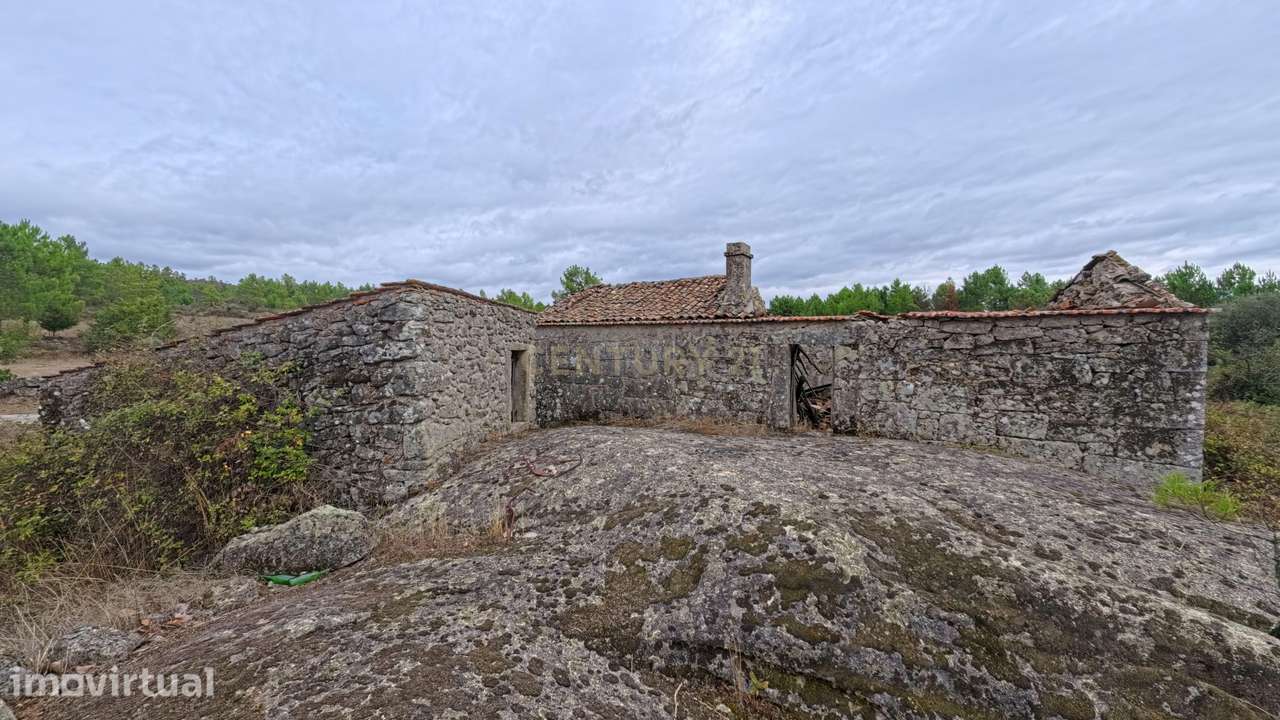 Quinta com 35.000 m² e casa de pedra em Figueiró da Granja - Fornos d - Grande imagem: 4/12