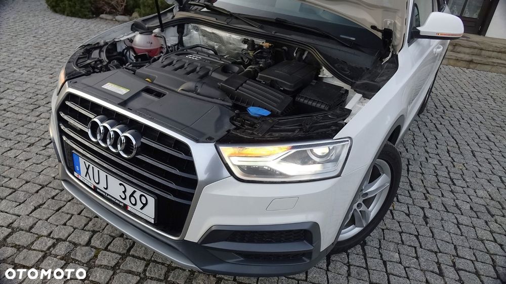 Audi Q3 - 19