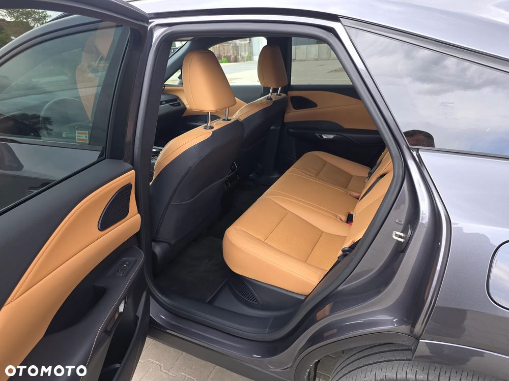 Lexus RX 300 F Sport Edition - 9