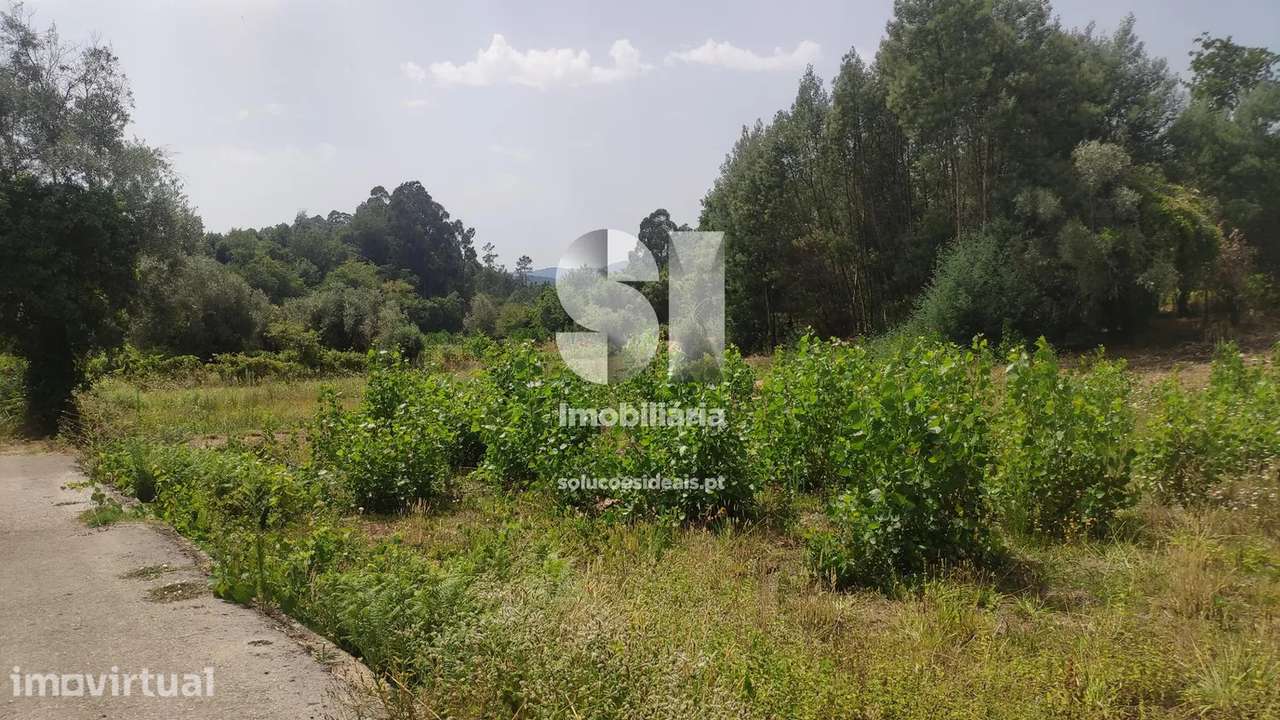 Terreno em Penacova - Grande imagem: 2/7