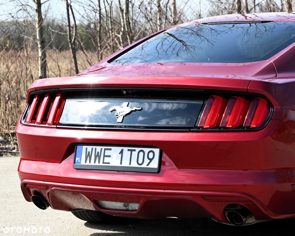 Ford Mustang - 24