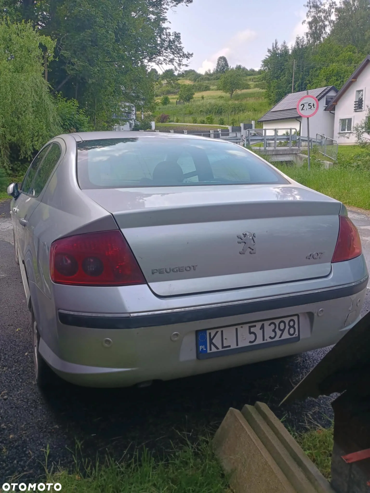 Peugeot 407 - 4