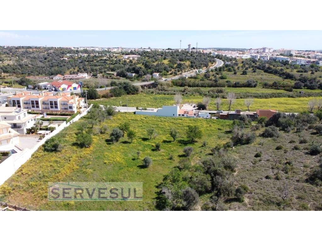 Lote de terreno rústico com area total de 21960m2, localizado em Al... - Grande imagem: 4/11