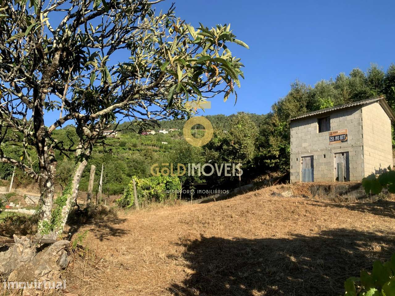 Terreno em Travanca - Cinfães - Grande imagem: 3/12