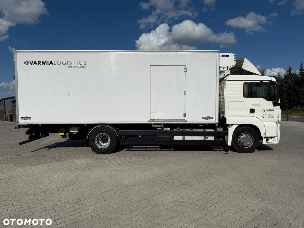 MAN TGS 18.360 / TERMO KING - 6