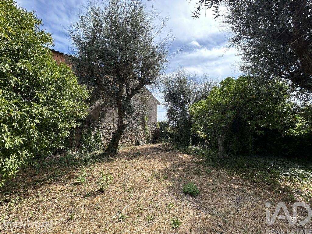 Casa / Villa T3 em Póvoa de Midões de 270 m2 - Grande imagem: 2/12