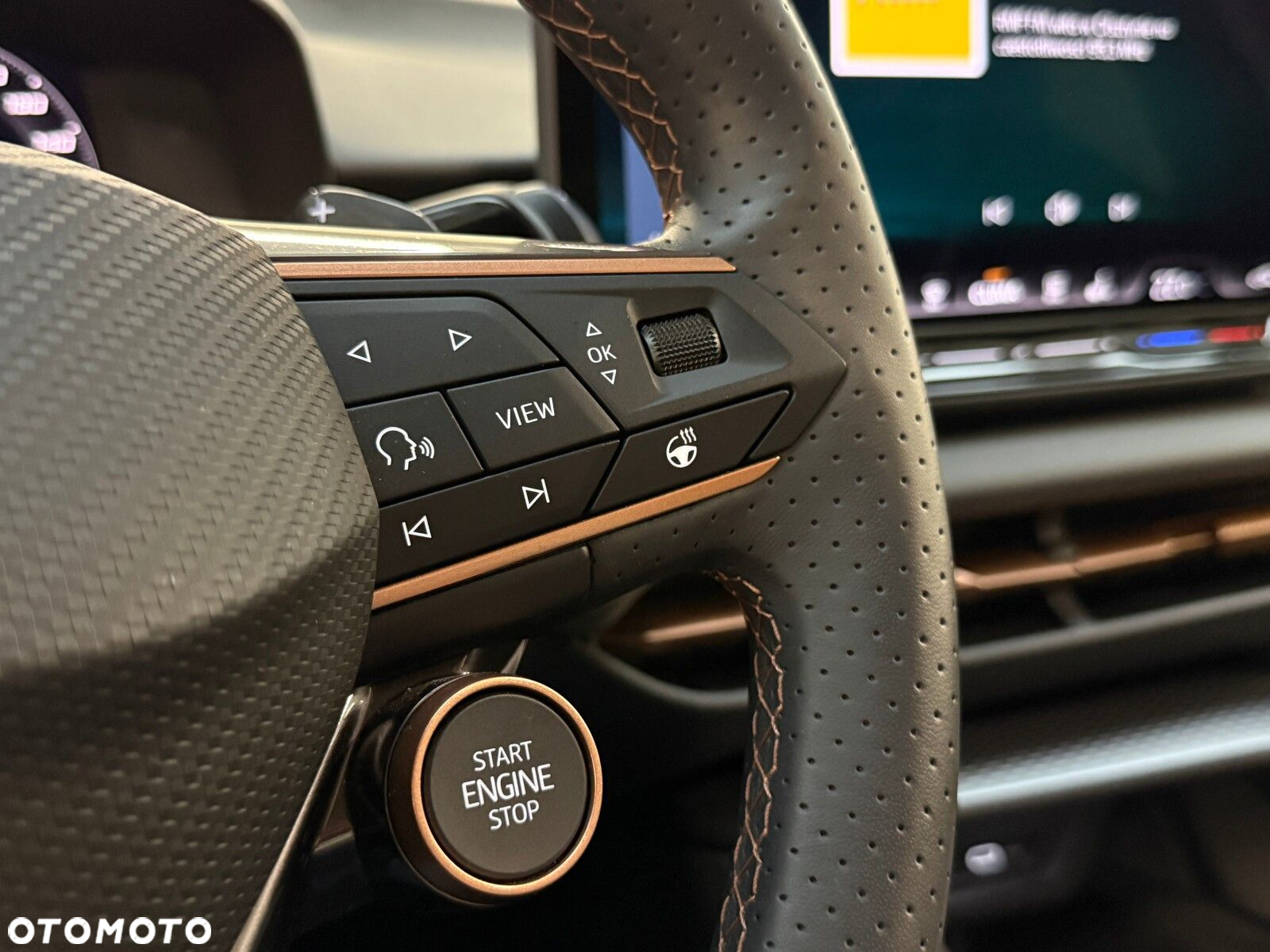 Cupra Terramar 2.0 TSI 4Drive VZ DSG - 33