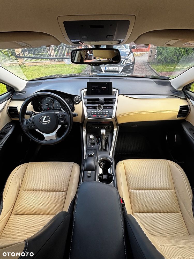 Lexus NX - 13