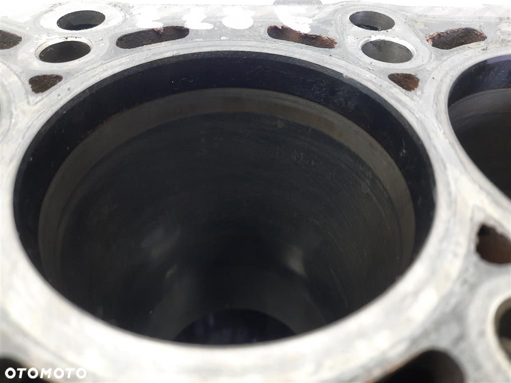 Blok silnika Skoda Fabia II 1.6TDI KOD:CAYA GOLF V AUDI A3 2007-2014 - 6