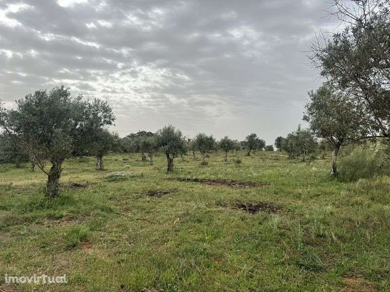 Terreno 36.750m2 - Grande imagem: 5/7