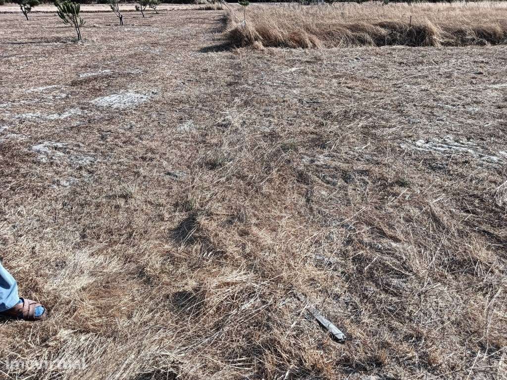 Terreno na Gafanha da Encarnação - Grande imagem: 4/12