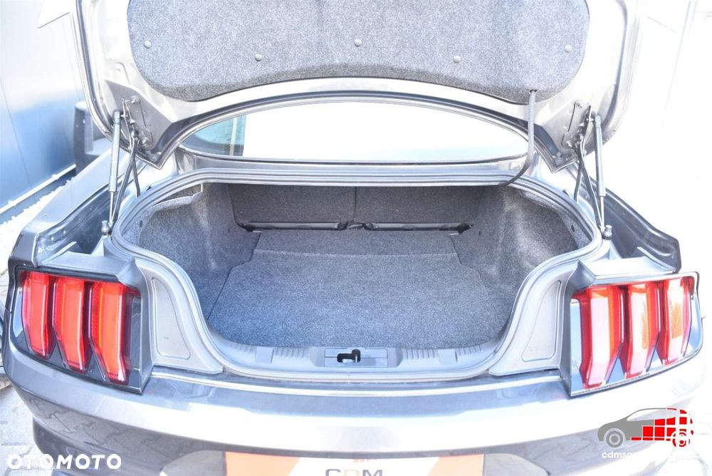 Ford Mustang 5.0 V8 GT - 14