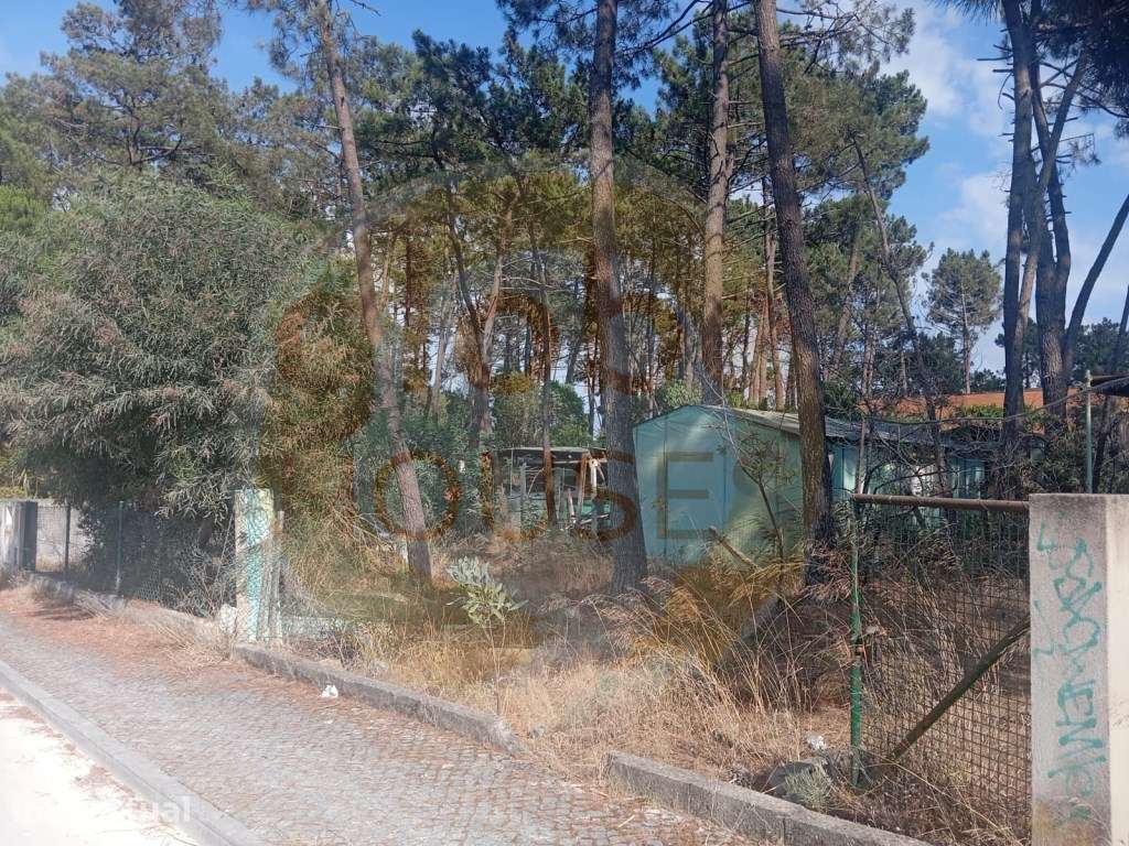 Terreno 300m2 perto da praia - Grande imagem: 4/12