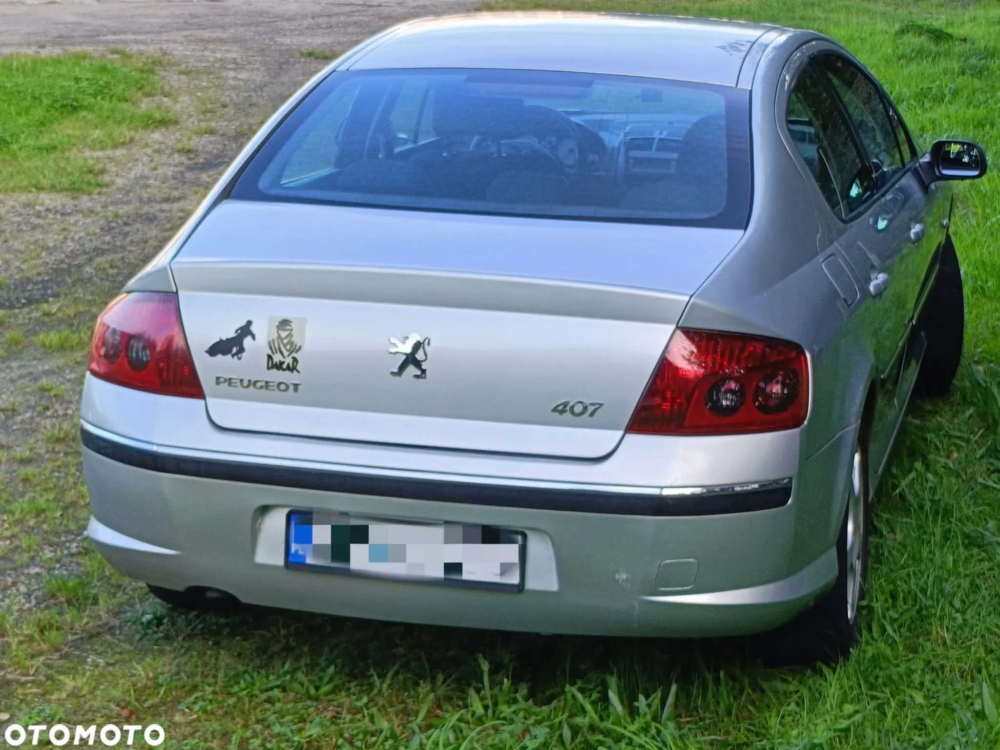 Peugeot 407 - 13