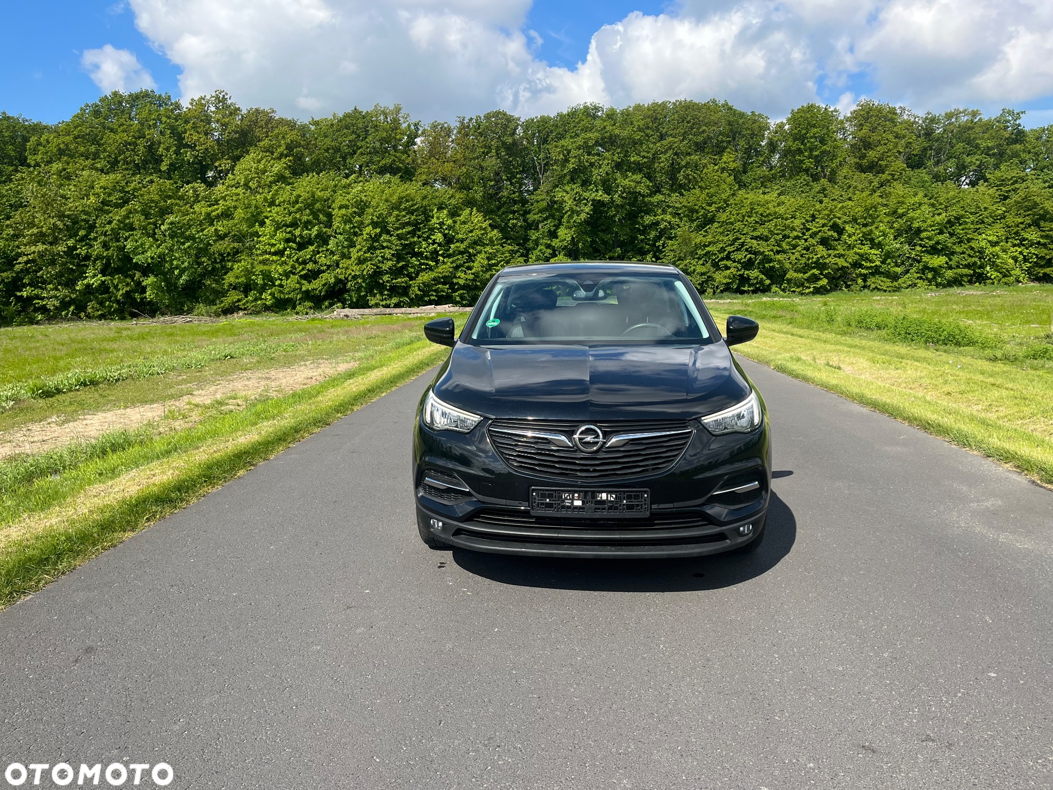 Opel Grandland X - 3