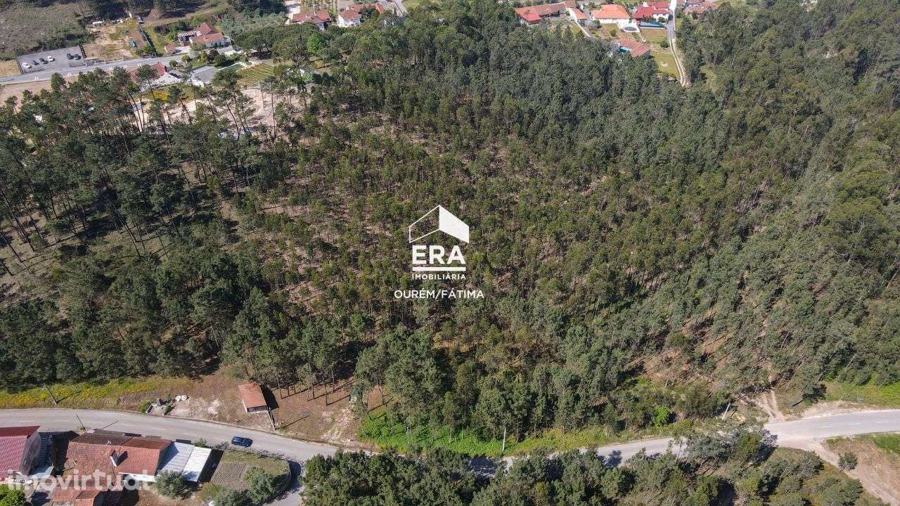 Terreno para Construção, Gondemaria, Ourém - Grande imagem: 3/22