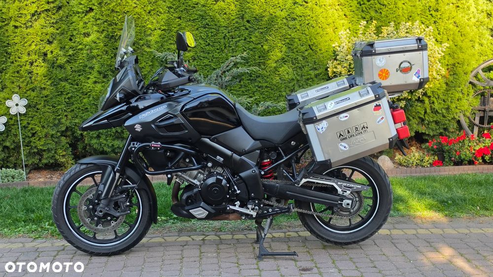 Suzuki DL