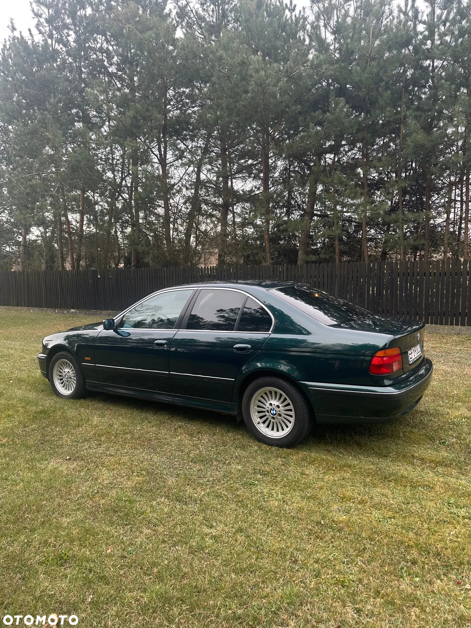 BMW Seria 5 - 9