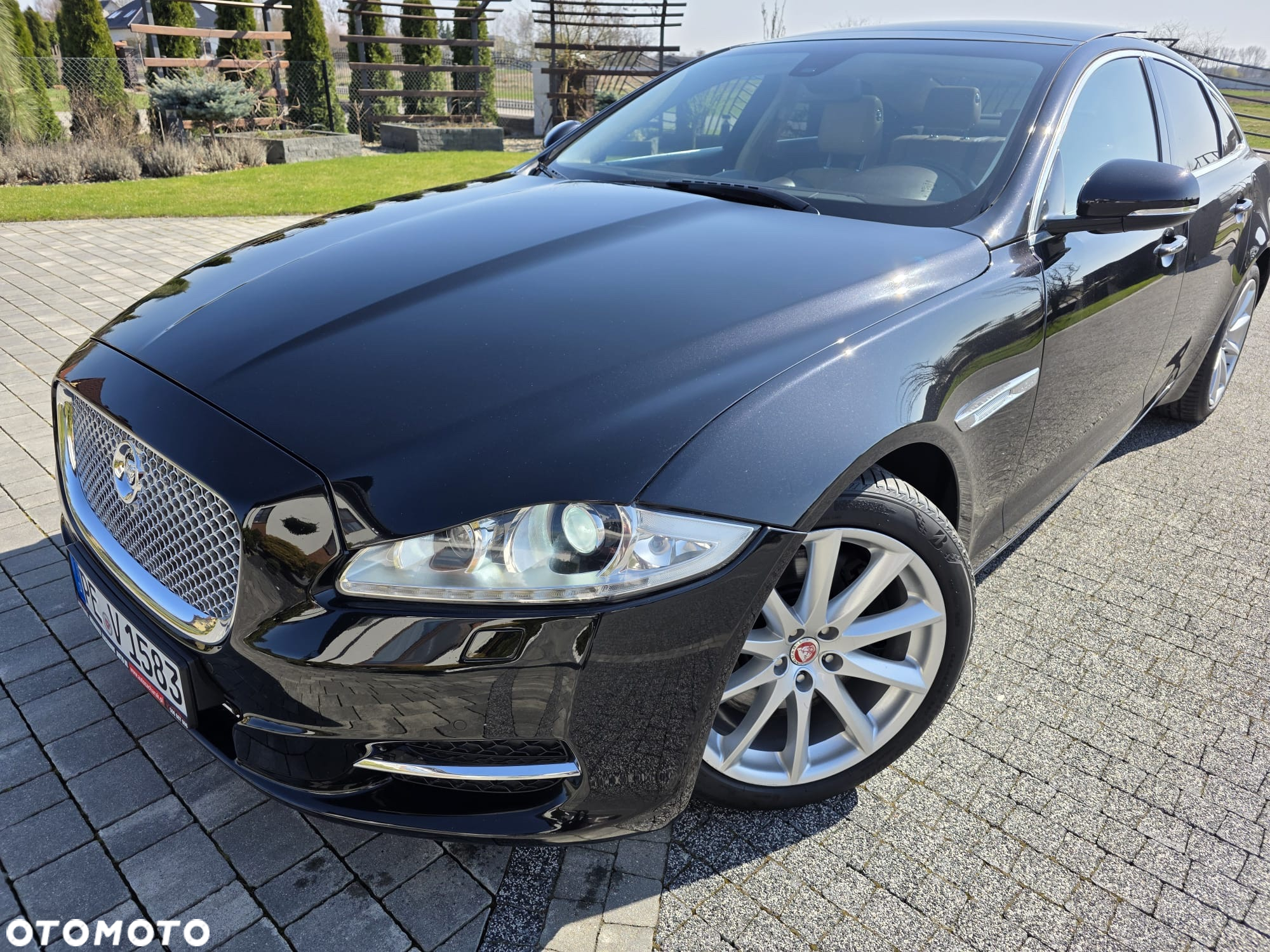 Jaguar XJ 3.0 D V6 Portfolio - 6