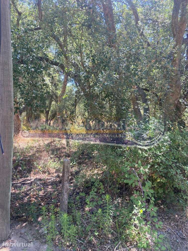 Terreno em Foros de Salvaterra (F842) - Grande imagem: 5/7