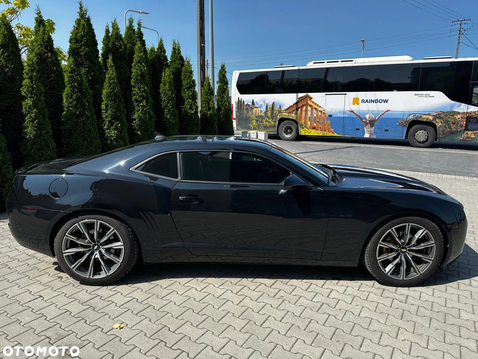 Chevrolet Camaro - 6