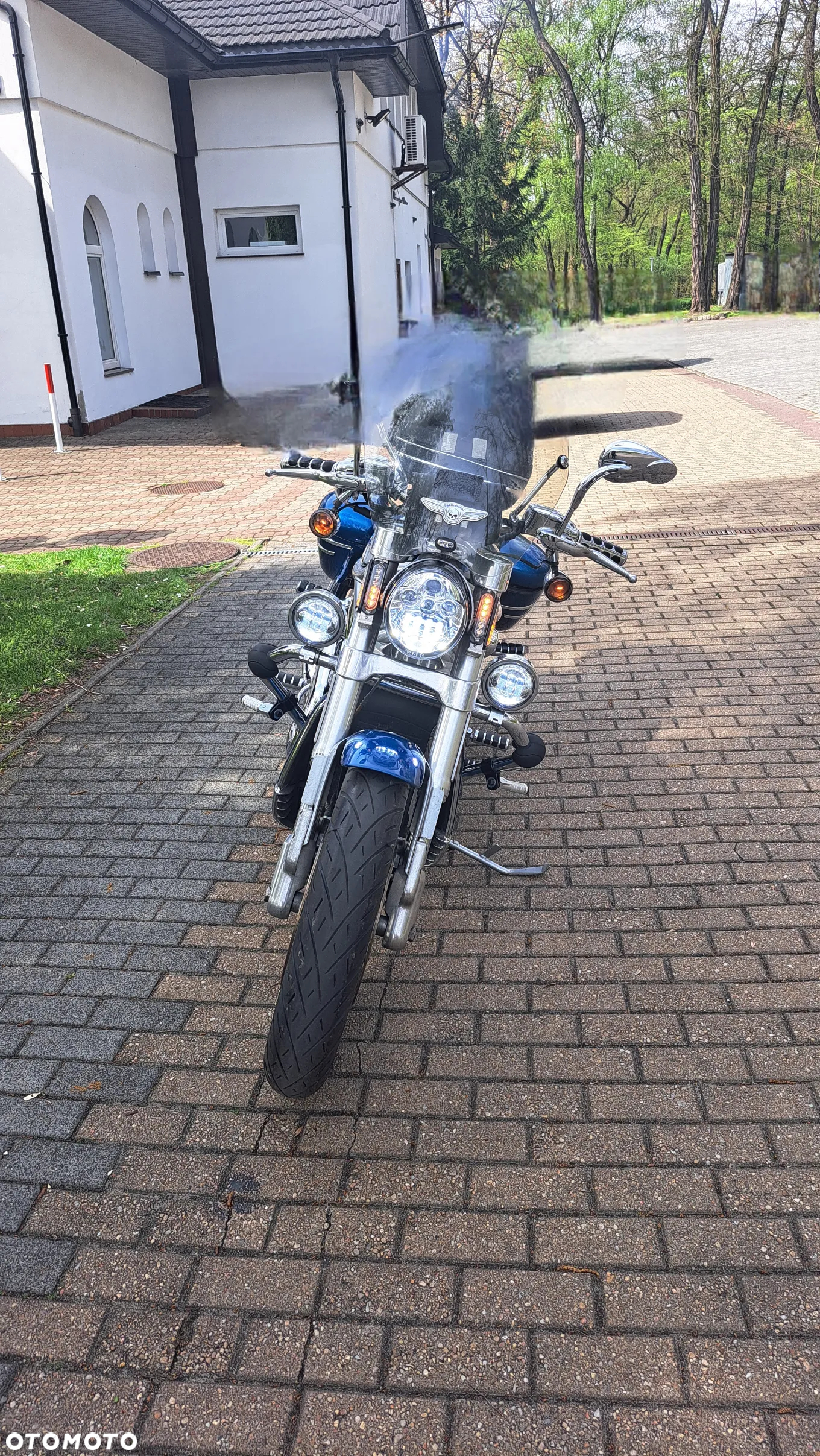 Harley-Davidson V-Rod Street Rod - 5