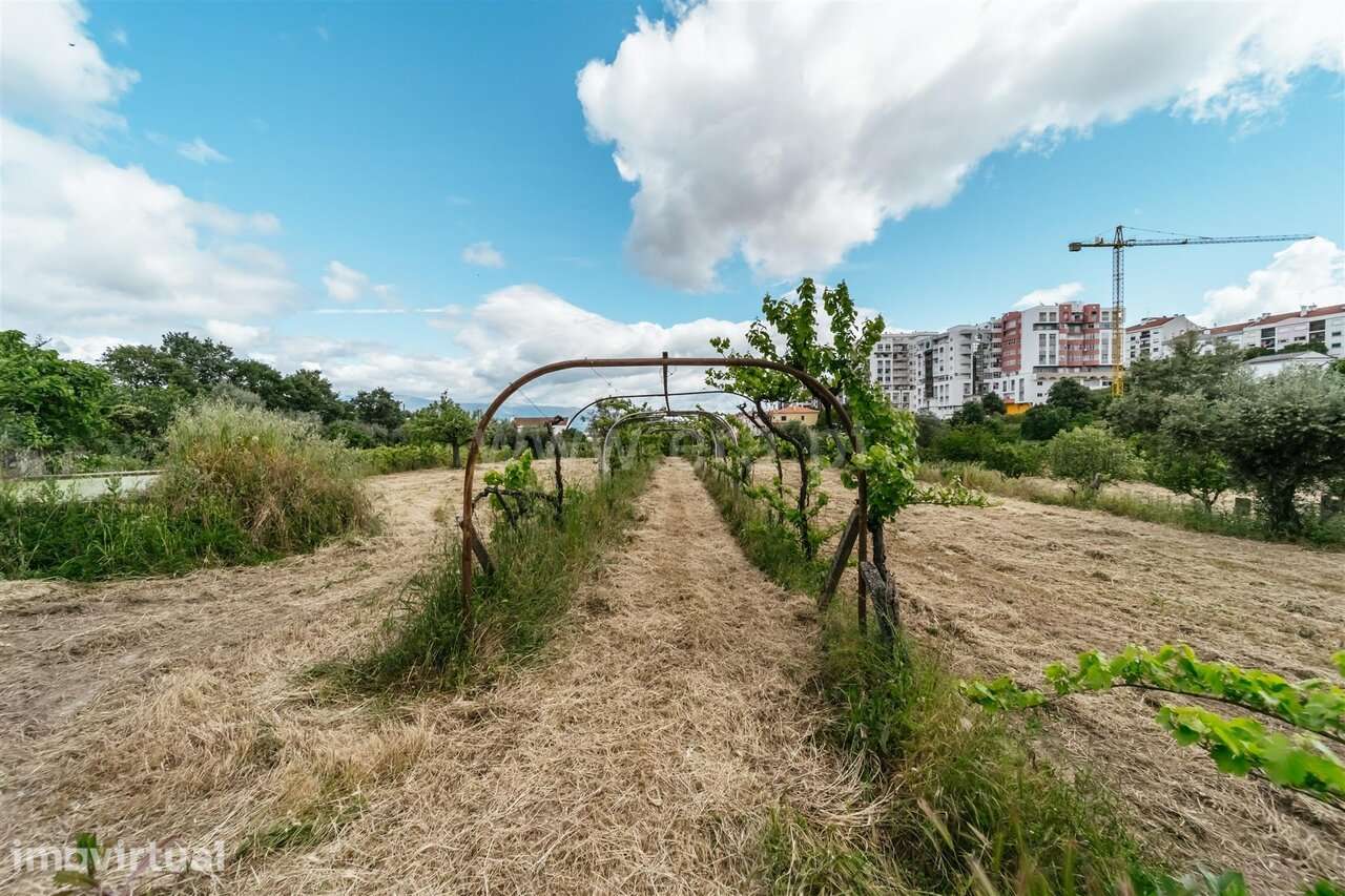 Terreno Agrícola Fundão - Grande imagem: 2/13
