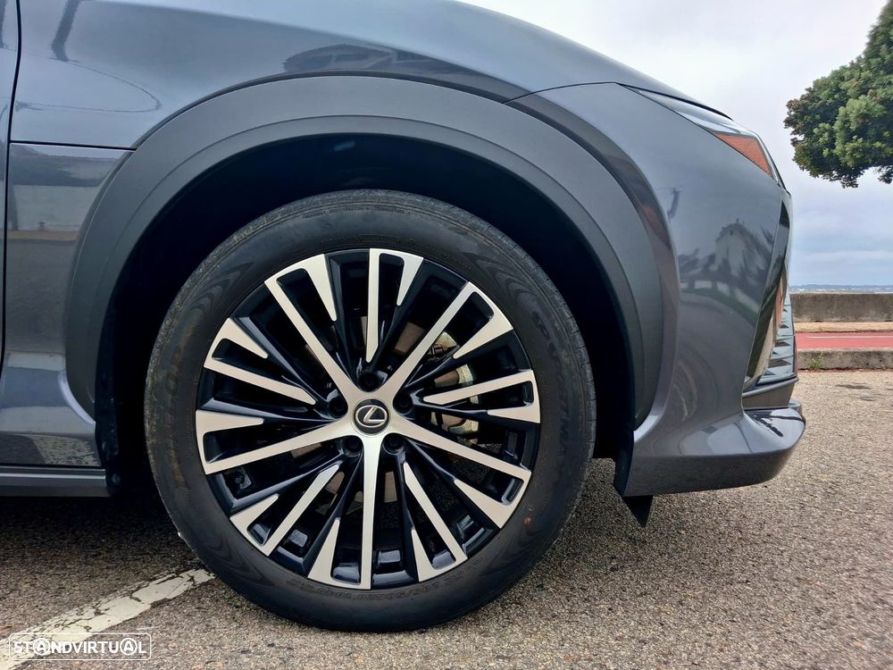 Lexus RZ 300e Premium - 20