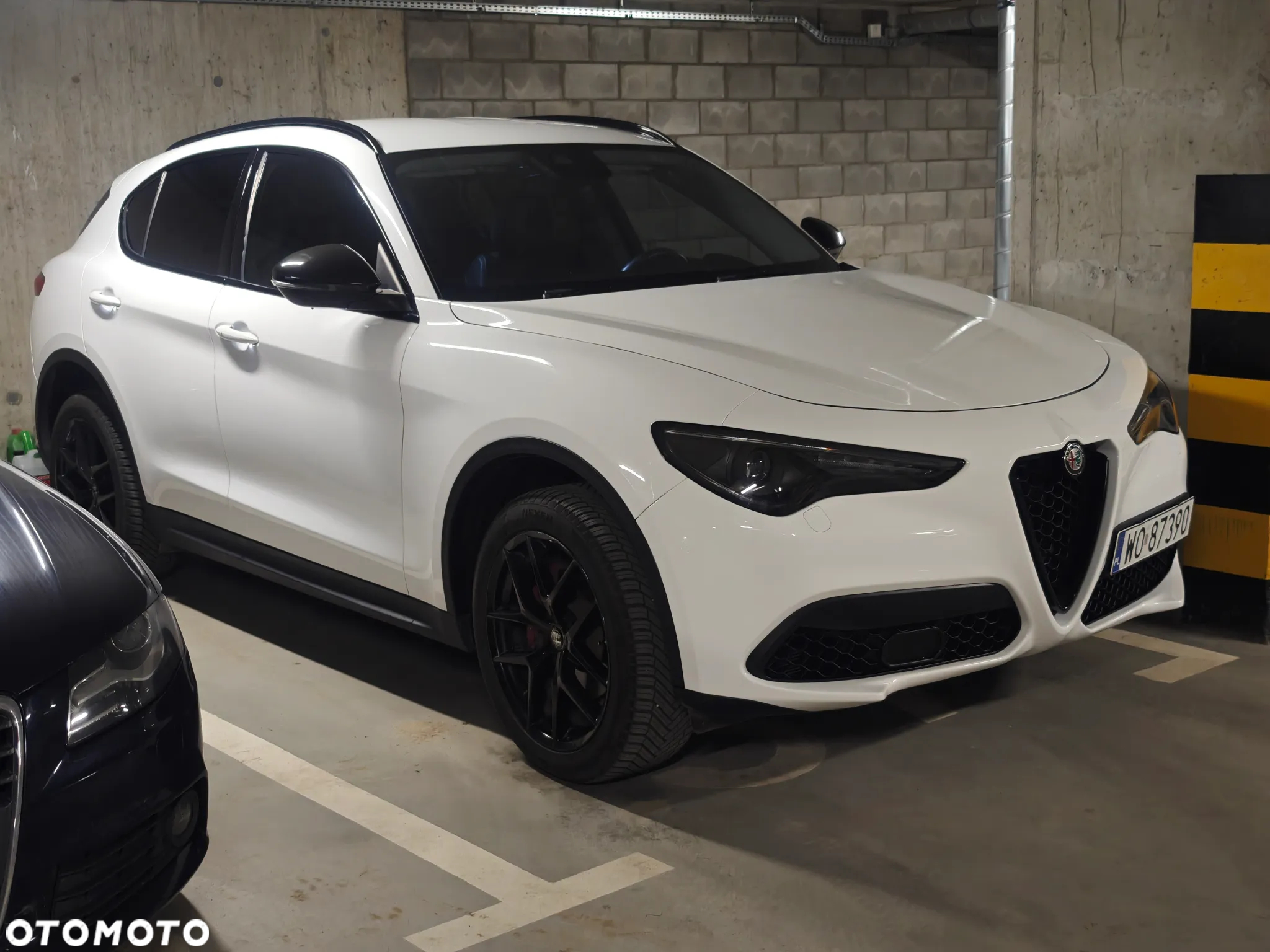 Alfa Romeo Stelvio 2.0 Turbo 16V AT8-Q4 Veloce - 14