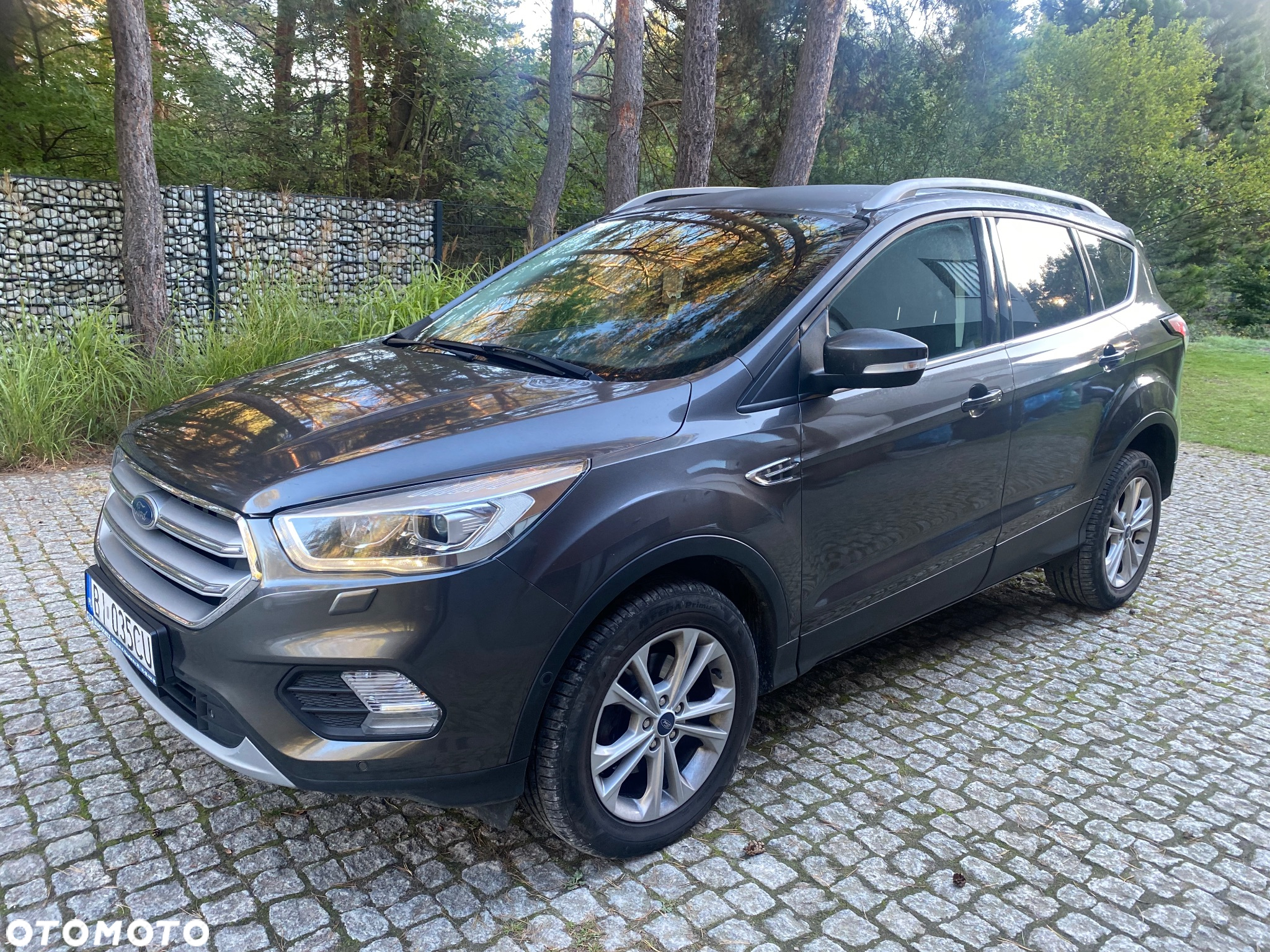 Ford Kuga 1.5 EcoBoost FWD Titanium ASS GPF - 7